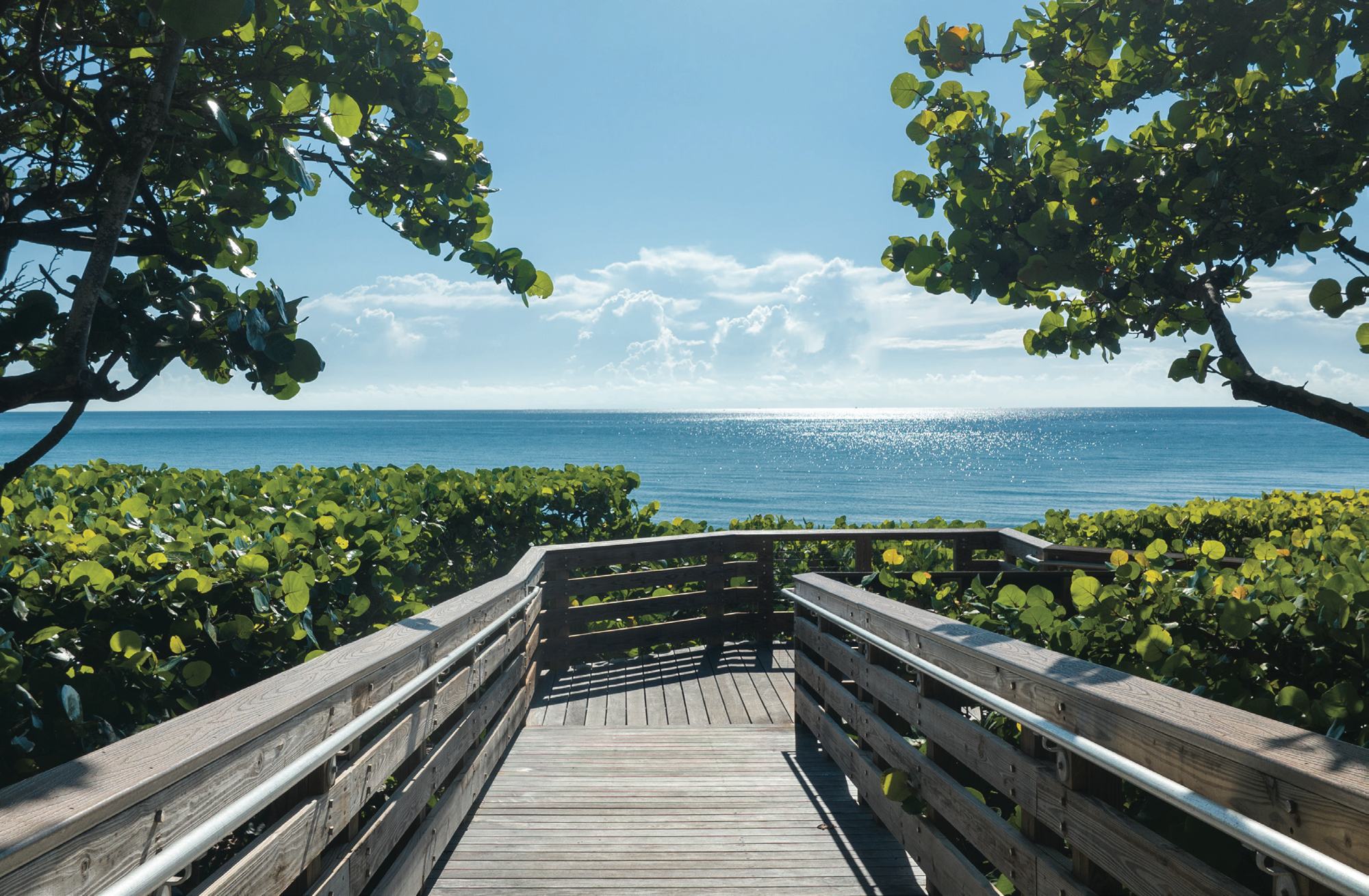 The DuBois Park boardwalk
