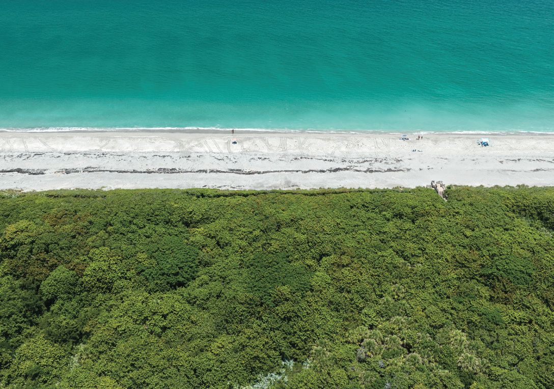 The beach at Blowing Rocks Preserve