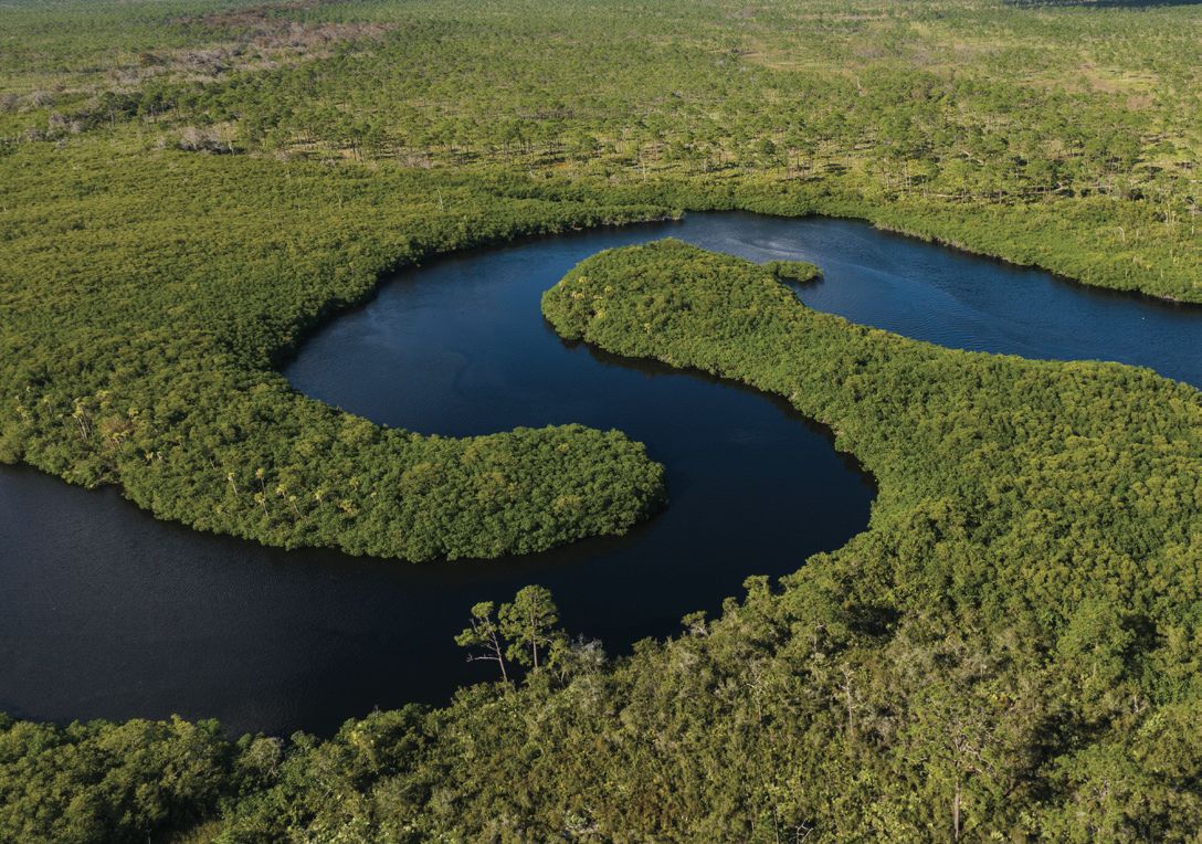 The Loxahatchee through Jonathan Dickinson State Park