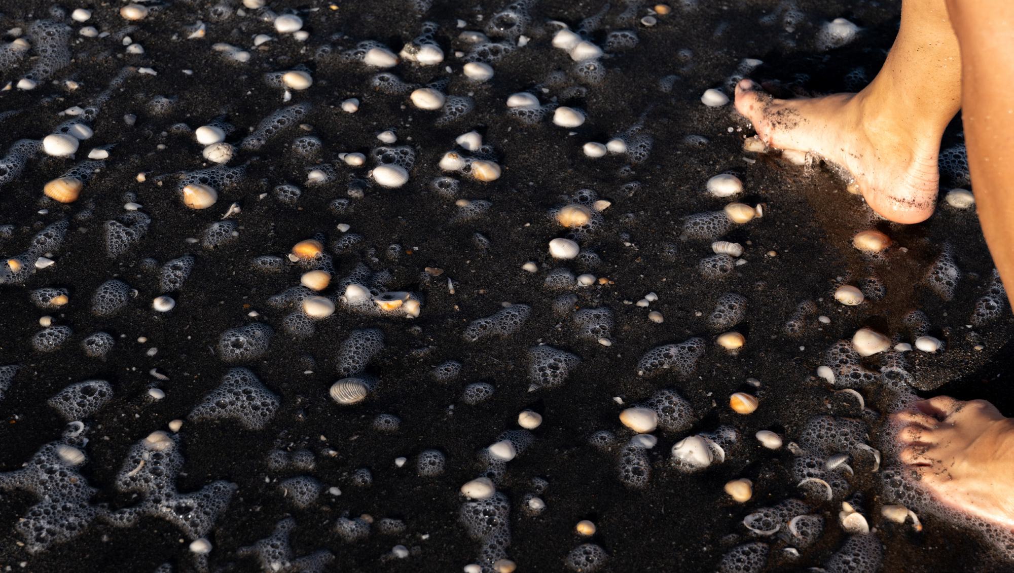The Joy of Shark Tooth Hunting