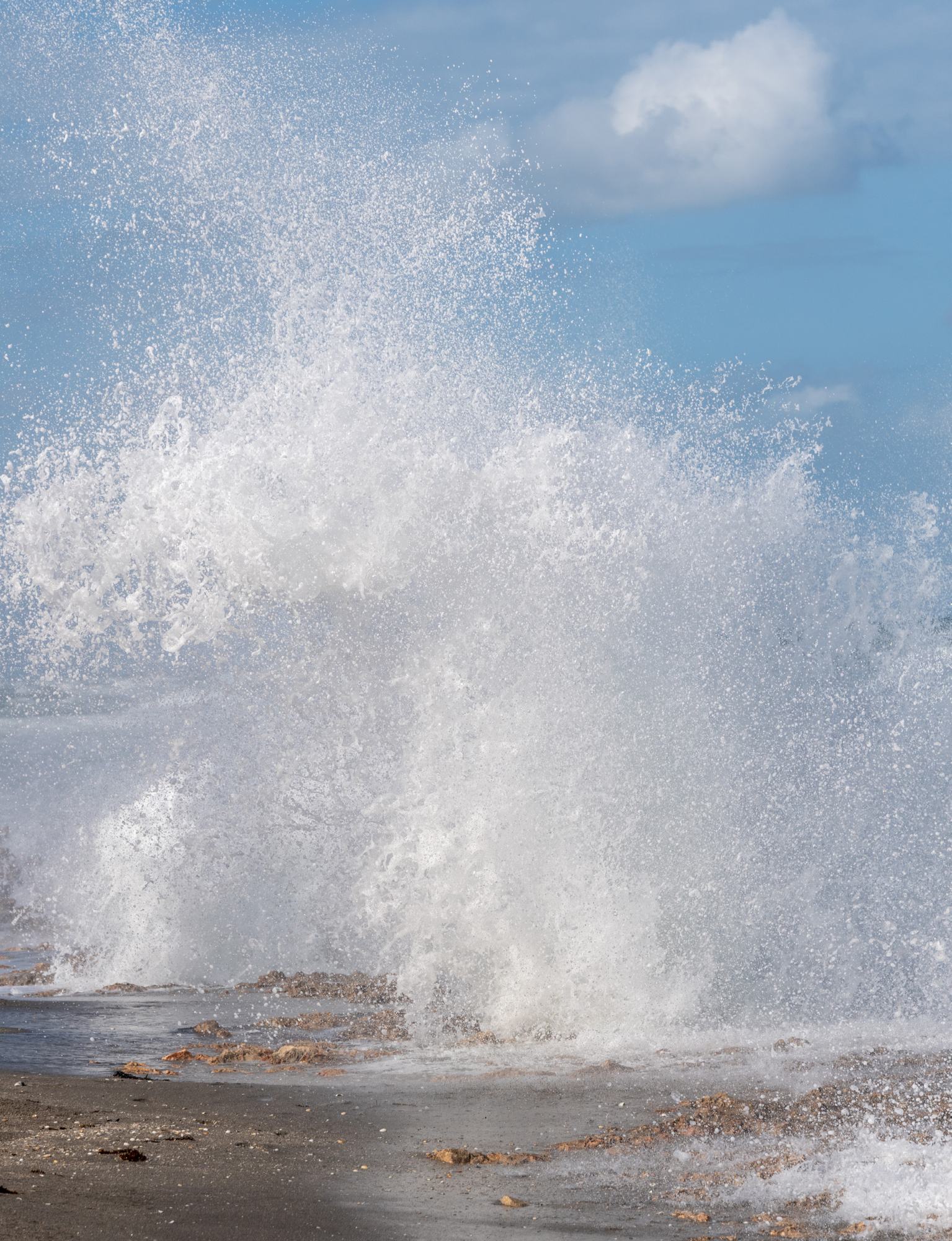 A plume at high tide