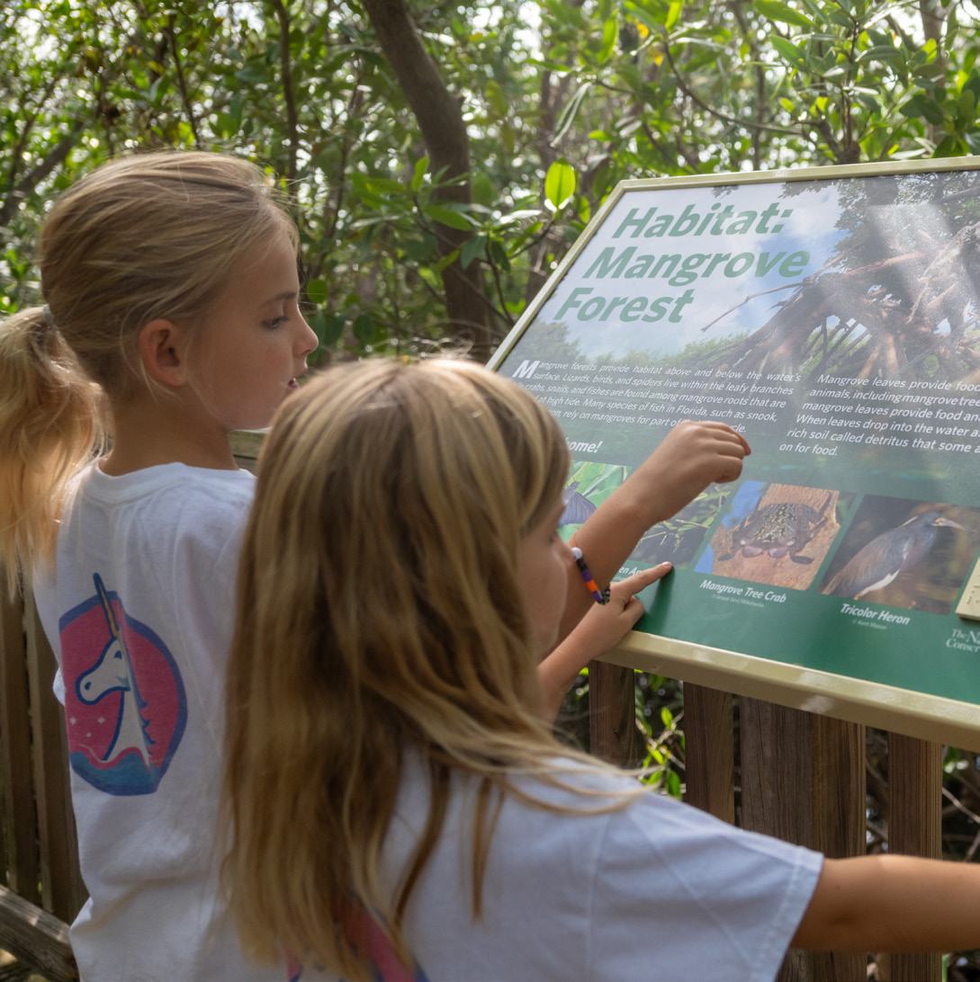 Reading the mangrove habitat sign