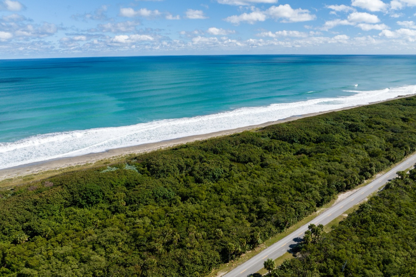 Dune forest and the Atlantic, Jupiter Island