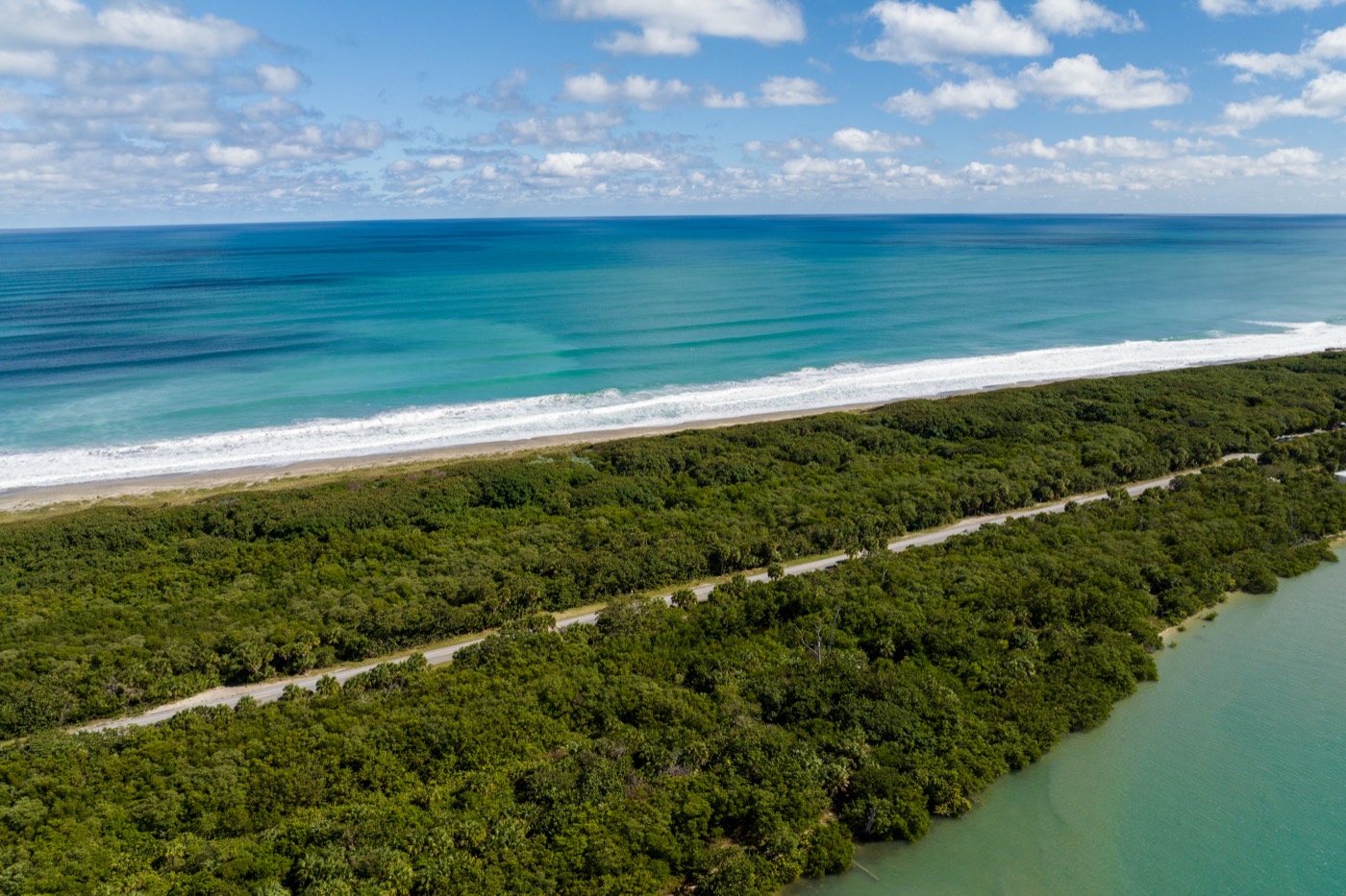 The dune line, Jupiter Island
