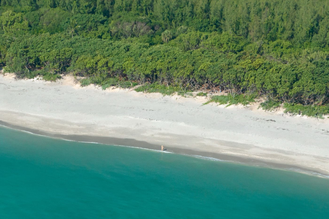 An empty beach, Hobe Sound