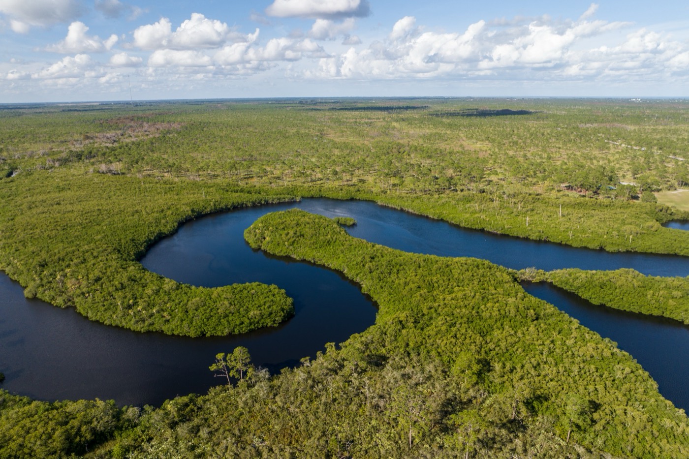 The Loxahatchee River