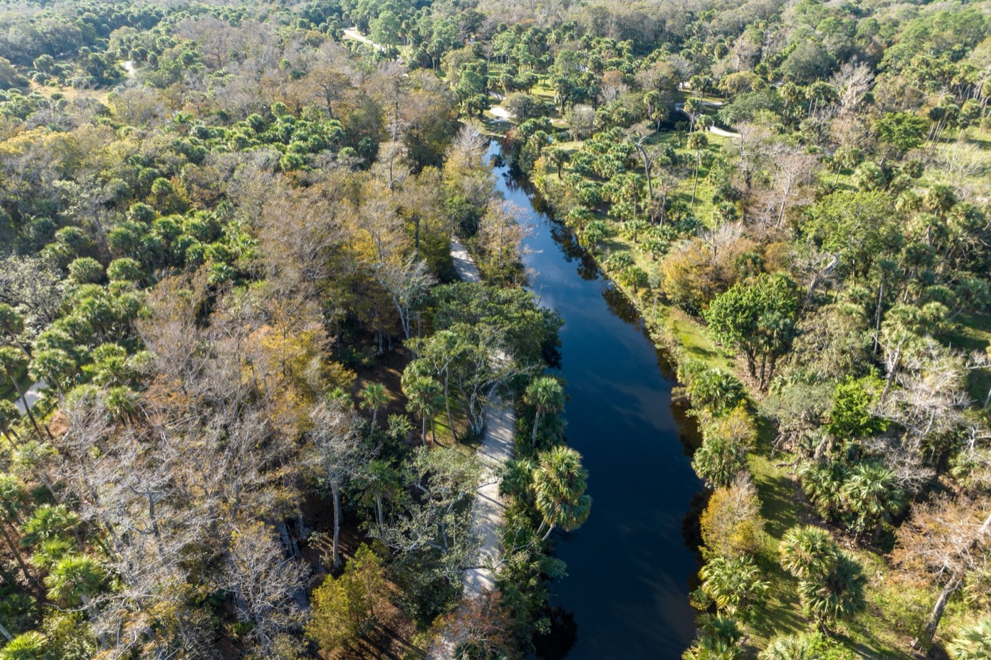 The Loxahatchee through the hardwoods